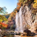 제 559차 전북 순창 100대 명산 강천산 적극추천 단풍 산행 (10월 29일) 안내 이미지