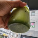 봉산문화거리 아트시 | 대구 대봉동 봉산문화거리 디저트맛집 카페 새오파티세리