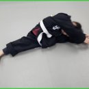 화랑합기도 특공무술 이미지