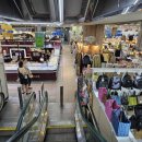 엑스포수선