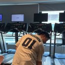 레디바디 이미지