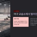 야구교습소