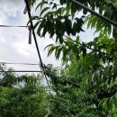 재림농장 이미지