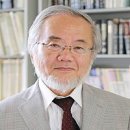 이오니아 이미지