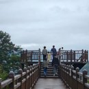 소백산자연휴양림 | 소백산 자연휴양림 휴양관 소나무 8인실 대기 1번 돌아기랑 1박 후기 (전망대/주차)