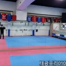 태광태권도체육관 이미지