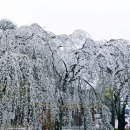수양부산 네이버블로그
