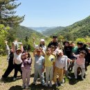 대성태권도장 이미지