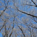 웅동마을 이미지