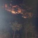 무릉도원면-11 강원일보