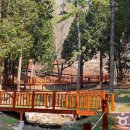 진도허브 이미지