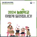 늘봄처럼