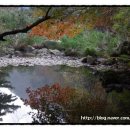 다울펜션 이미지