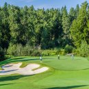 그린골프클럽 이미지