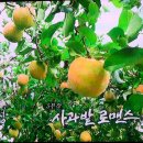 목인농장 이미지