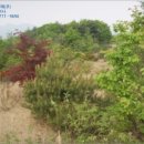 경기도 양평군 고송분교 이미지