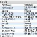 K.에스테틱 네이버블로그