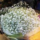 하얀파크 이미지