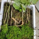 만천농장 이미지