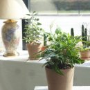 화사 플라워 스튜디오 이미지