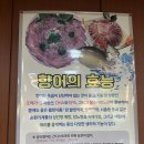 애막골 | 춘천 민물회 현지인 맛집 웨이팅 있는 애막골횟집 내돈내산 후기