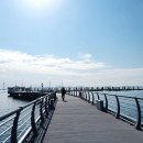 거북섬마리나 | 거북섬 망했다더니 직접 가보니 달랐다 시화 거북섬마리나 경관브릿지 솔직 방문 후기