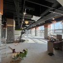 온리스포츠 이미지