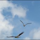 방대농장 이미지