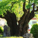 고바우산장 이미지