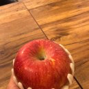 (주) 정언 이미지