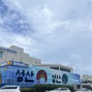 더쉼팡 민박 | JEJU(3)