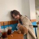 수지펫