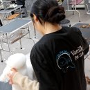 영산로 284 이미지