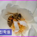 교진학원 네이버블로그