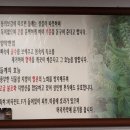 왕가네칼국수 이미지