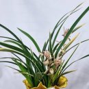 승진이네 농장 이미지