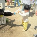 소우목장 이미지