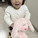 [육아템 리뷰] 스쿳앤라이드 킥보드 인형 달기...아프리콧 토곰 내돈내산 후기 (다이소 호환 비교) 🛴🐻