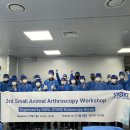 칼스톨츠엔도스코피코리아(유) | 2024 칼스톨츠 소동물 관절경 코스 faculty 참석