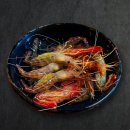 인하선생 이미지