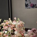 메종 플로이