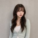 보그헤어 목동점
