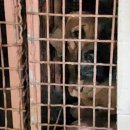 관악연구농장 이미지