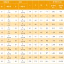 신우상공사