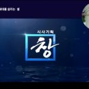 대경셀 네이버블로그