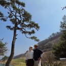 에이치비골프앤리조트 | 충주 올데이CC 올데이골프앤리조트 라운딩 후기 (feat. 골프 간식 추천 및 동반자 선물 준비)