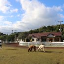 어울림목장 이미지