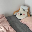 능성구씨충효문 | 1월 결산