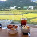 계수나무토끼한마리 | 광주 근교 카페 논밭뷰가 예쁜 화순읍 계수나무토끼한마리