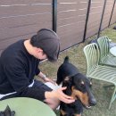 하쿠애견샵 | 서울근교 애견카페추천)!김포 운양역 &#34;대형견동반 가능&#34;한 넓고 쾌직한 애견호텔 카페 멍더쿠 솔직 리뷰